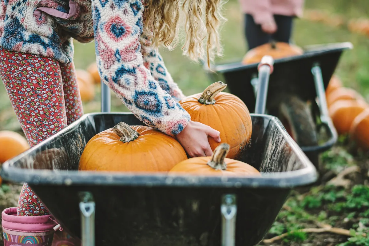 how to paint pumpkins idea 1