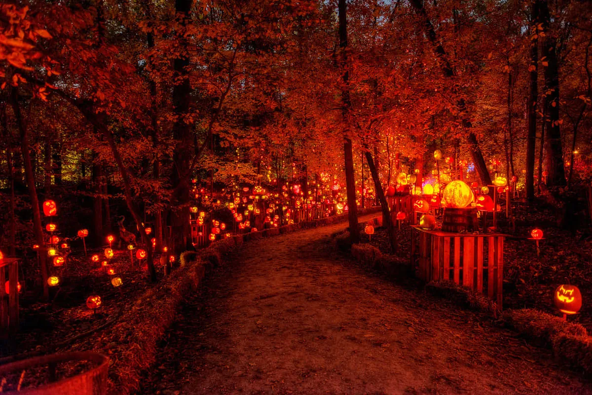 21 Backyard Halloween Party Ideas To Try This Year - idea 2