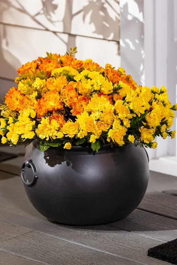 cauldron decoration ideas idea 3