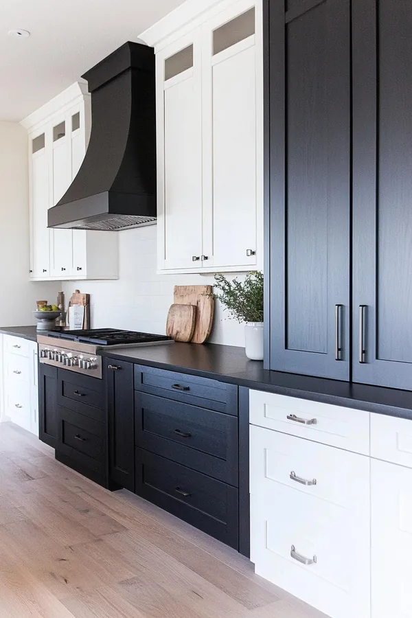 monochrome kitchen ideas idea 6