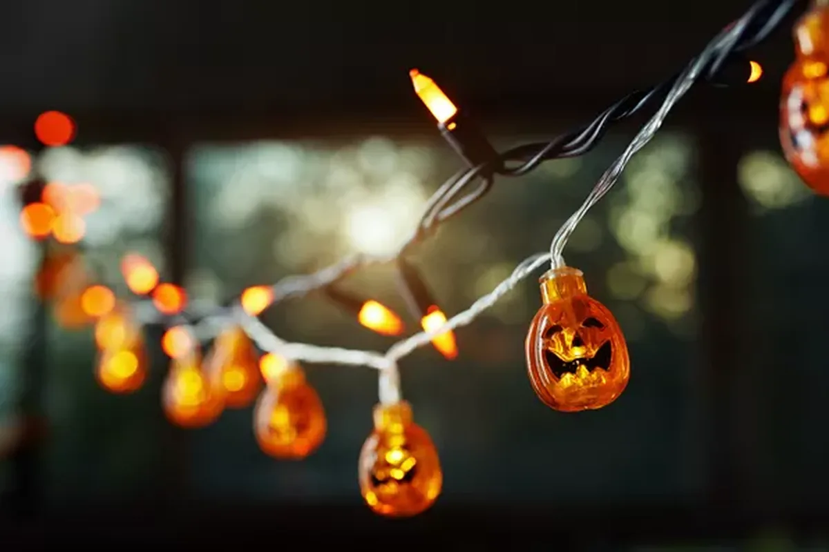 23 Halloween Window Decor Ideas To Try This Year - idea 16