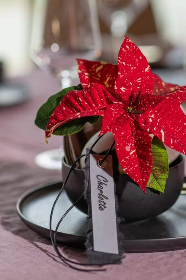poinsettia decor idea 16