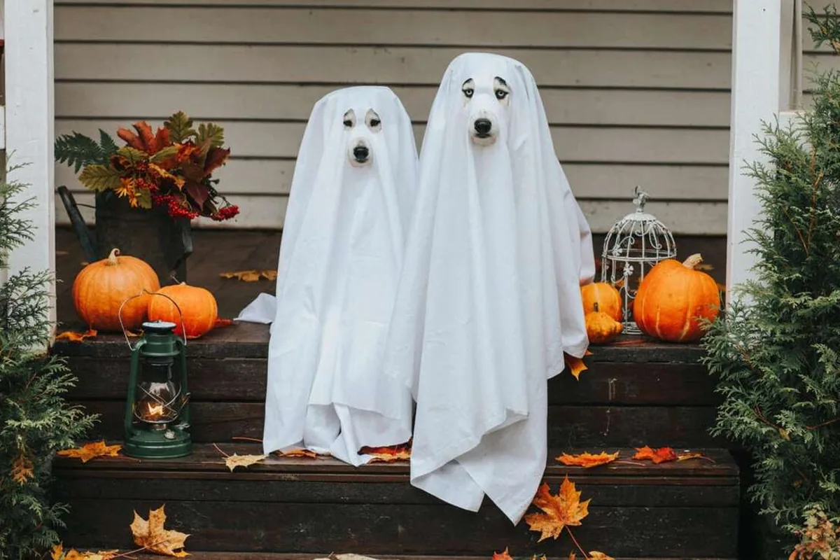27 Easy DIY Outdoor Halloween Decorations To Try This Year - idea 17