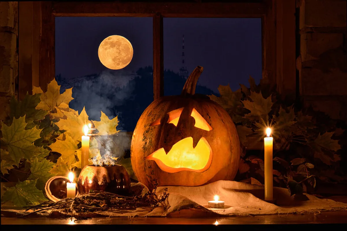 23 Halloween Window Decor Ideas To Try This Year - idea 18